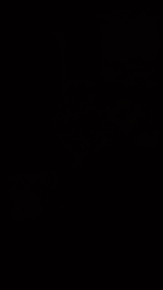 Detaylı temizlik eğitimimizden bir uygulama: dış yıkamadan iç temizliğe kadar aracı baştan sona temizlemeyi araç üzerinde öğretiyoruz.